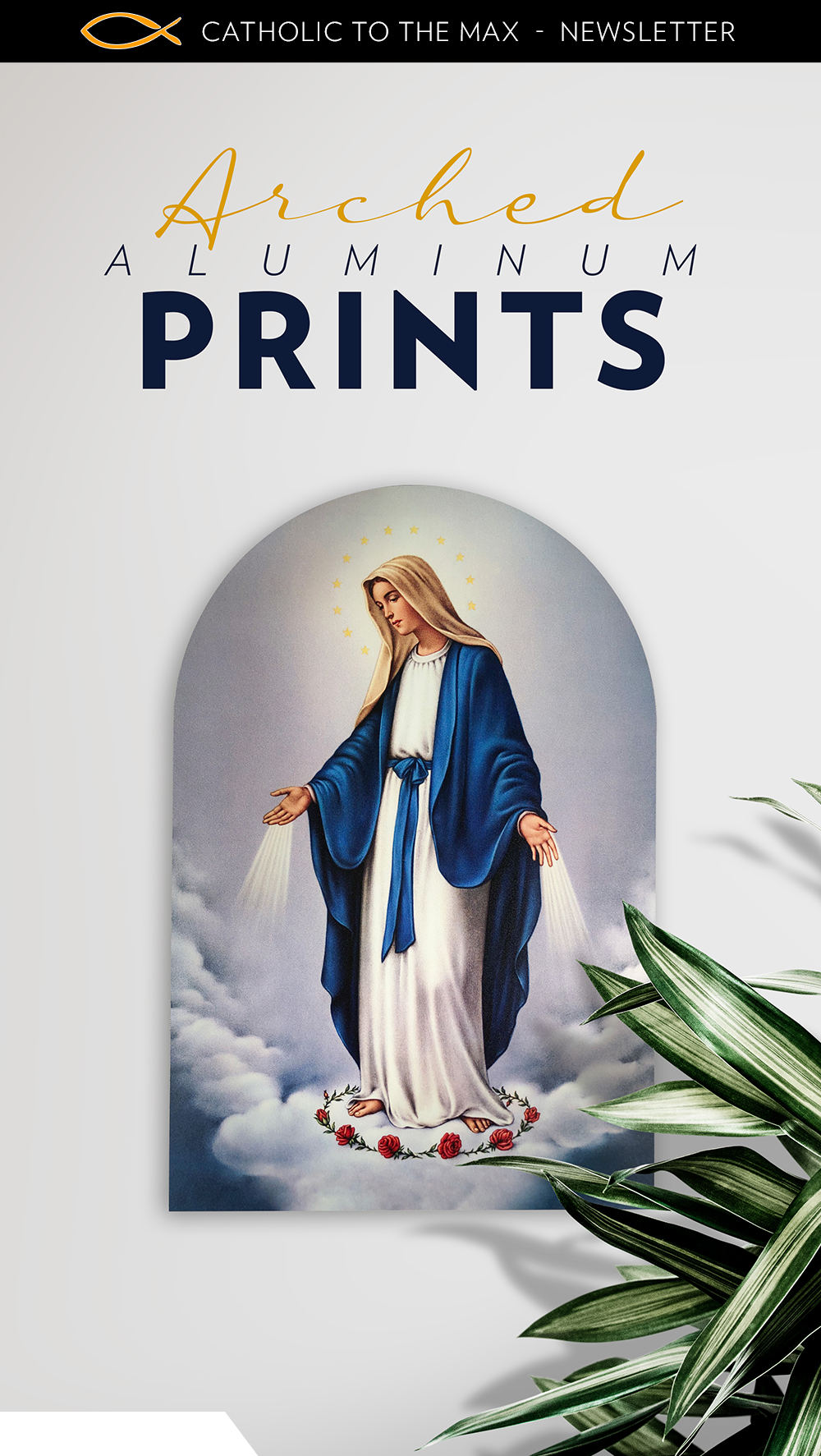 New Arched Aluminum Prints