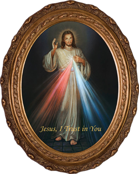 King of Divine Mercy House Flag