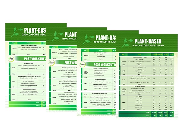 Plant-Based Recipe Cookbook