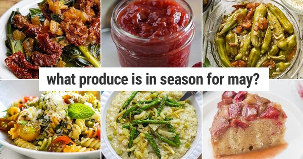 What To Cook In Your Instant Pot In May