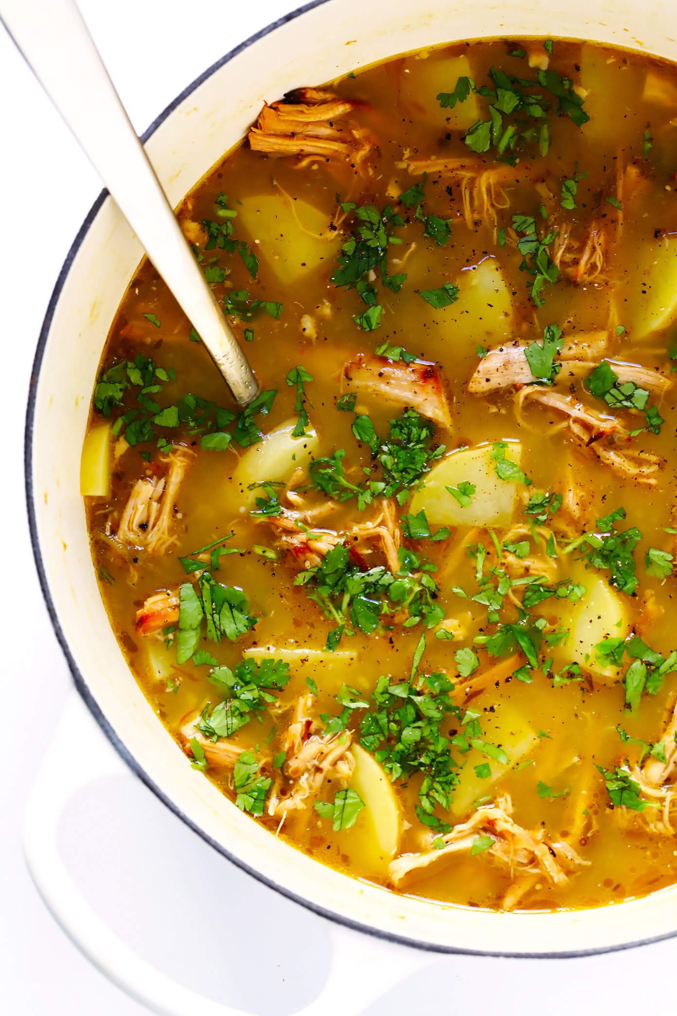 5-Ingredient Carnitas Soup