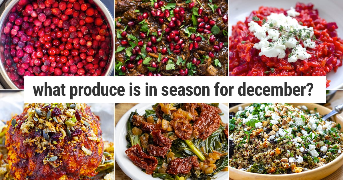 What To Cook In Your Instant Pot In December