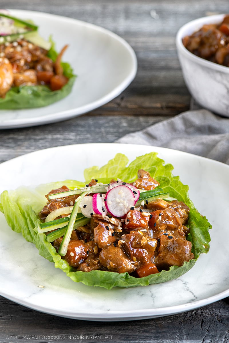 Instant Pot Sweet & Tangy Chicken