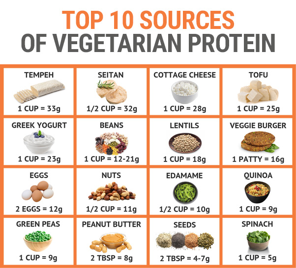 Vegetarian Protein Sources
