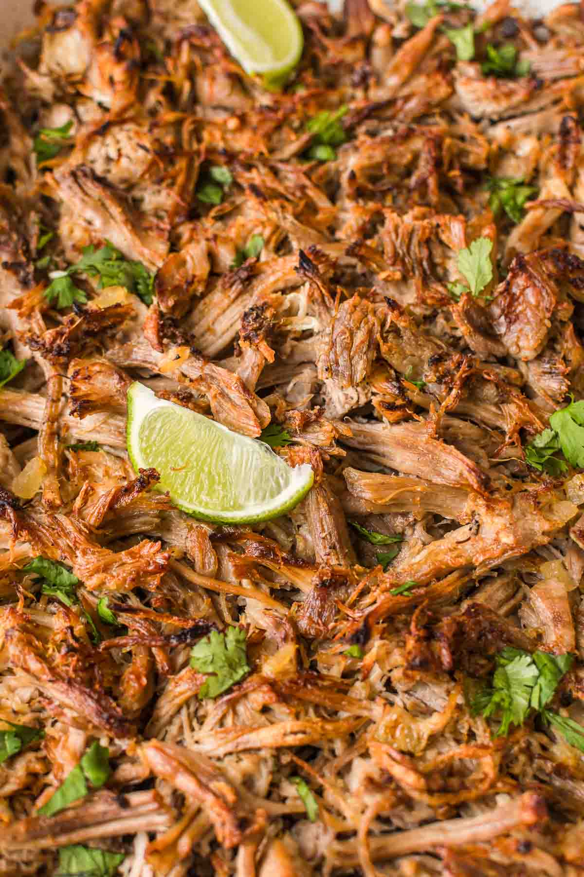 Instant Pot Carnitas Recipe