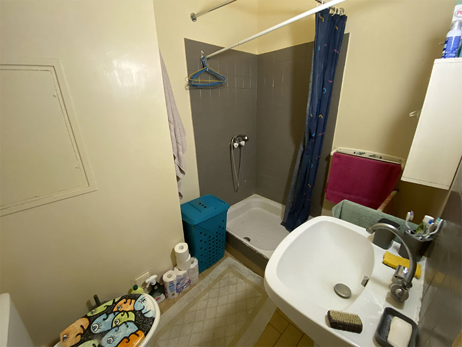 appartement à Lyon salle de bain