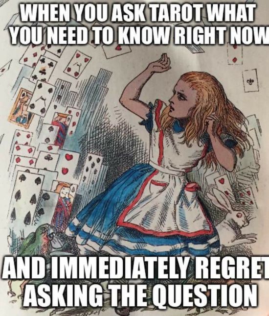 Alice in Wonderland tarot meme