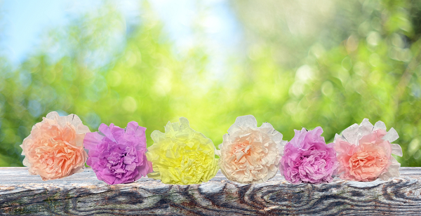 Make and Take: Coffee Filter Peonies