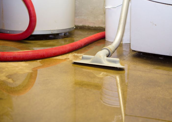 Dealing with Basement Moisture Issues in London Homes: A Comprehensive Guide