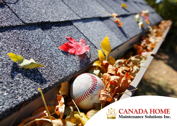 Top Tools and Equipment for Gutter Cleaning in London, Ontario this Fall