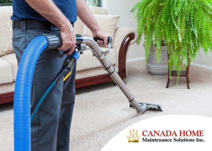 Top 5 Carpet Cleaning in London, Ontario