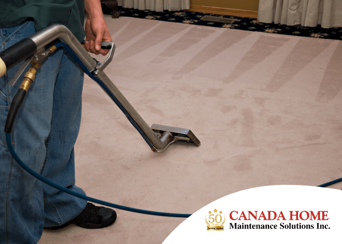 Why You Should Hire a Carpet Cleaner