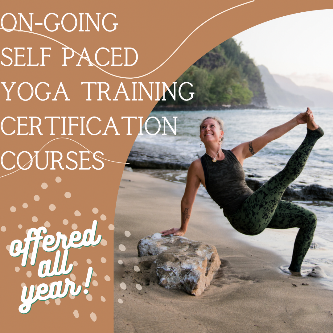 Take a Class from Wherever you Are!